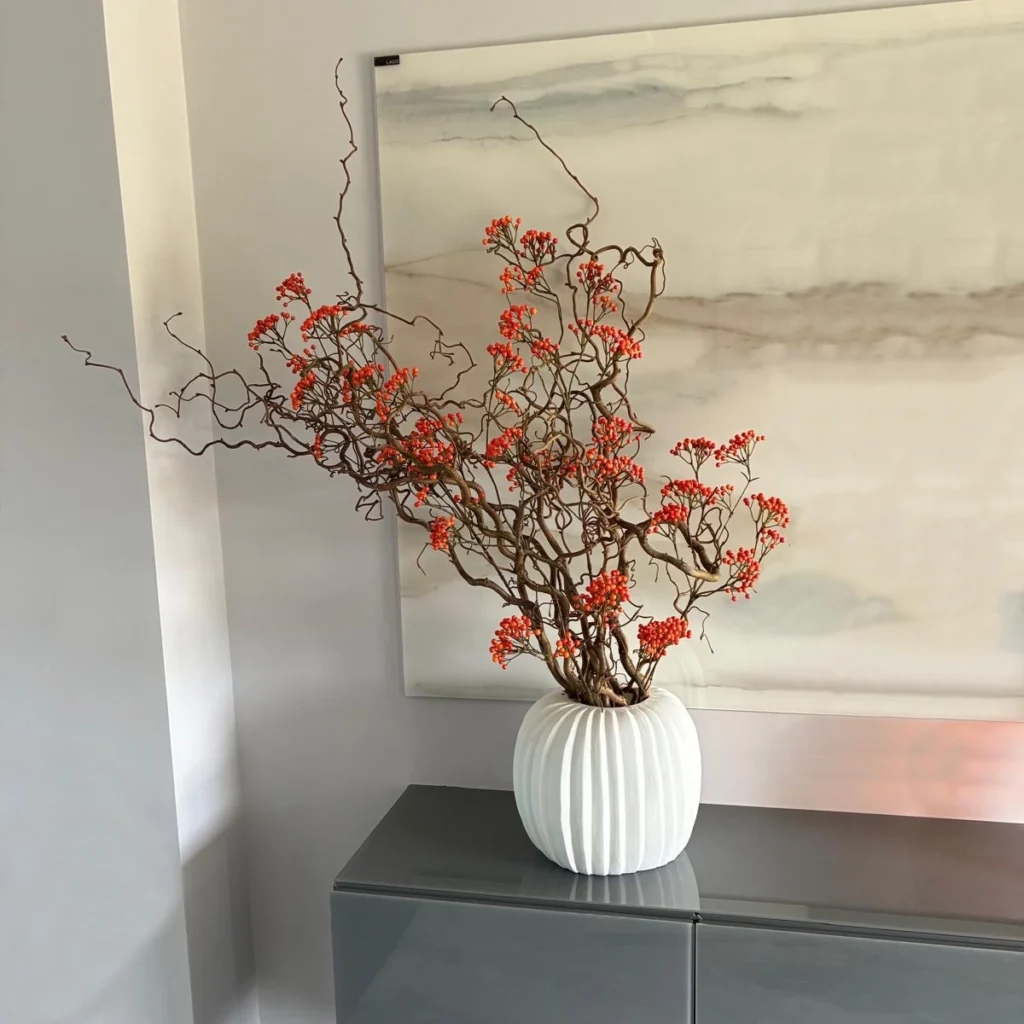 Red berry in vase home display
